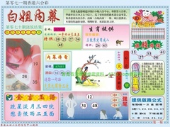 白小姐内幕A